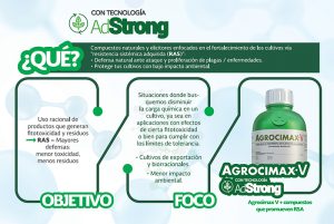 Un paso adelante en el desarrollo de formulaciones tecnológicas