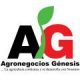 Desarrollan innovadora metodología de producción de semilla pre básica de papa