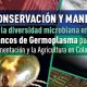 Agrosavia presenta su nueva obra sobre diversidad microbiana