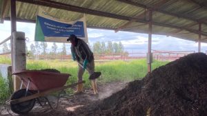 Proyecto desarrollará compost de estiércol para el sector agropecuario
