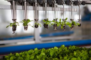 La inversión en empresas Agrifoodtech sumó $ 24 mil millones el primer semestre