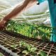 IncubaClub dio inicio a las actividades 2021