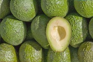 Un recubrimiento a base de fibras y de bajo costo mantendría frescos los aguacates