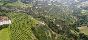 Primera conferencia Redagrícola Colombia
