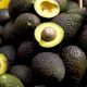 Aguacate Hass colombiano con aval para llegar a Corea del Sur