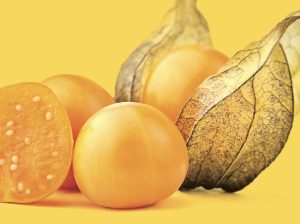 Aguaymanto: las posibilidades del tesoro incaico para competir en nuevos mercados y formatos