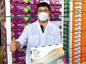 Realidad y perspectivas de Perú y Chile ante los mercados de uva de mesa