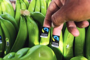 Empresa holandesa que apuesta por el comercio justo de bananas