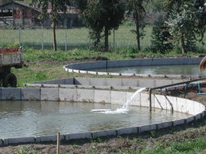 Soluciones pequeñas y medianas para almacenar agua