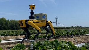 ‘Annie’, el robot agrícola capaz de hacer pruebas en campos de producción