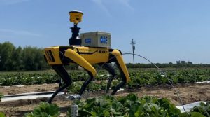 El mercado de los robots agrícolas alcanzaría los 26.700 millones de dólares en 2027