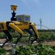 ‘Annie’, el robot agrícola capaz de hacer pruebas en campos de producción