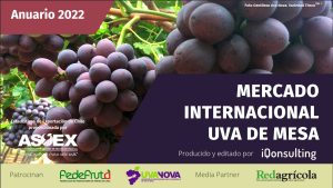 Chile se mantiene como el principal exportador de uva de mesa del hemisferio sur