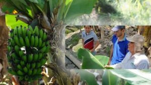 Agroclima, la startup co-creada por un colombiano que ganó convocatoria internacional