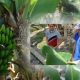 Agroclima, la startup co-creada por un colombiano que ganó convocatoria internacional