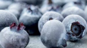 Arándanos ecuatorianos se abren paso en el mercado asiático