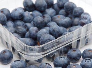 Manejo de la nutrición para aumentar la vida de poscosecha en el arándano