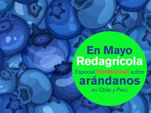Redagrícola: Especial Binacional sobre arándanos en Chile y Perú
