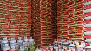 Arroz: exportaciones crecieron 200% en el primer semestre del año