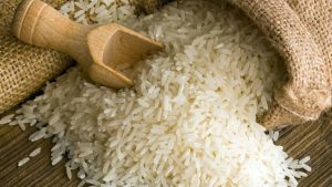Interoc ampliará su oferta de semillas de arroz en la región