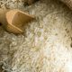 Interoc ampliará su oferta de semillas de arroz en la región