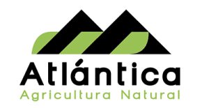 Es vital un adecuado crecimiento radicular en arándano