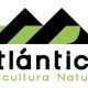 Es vital un adecuado crecimiento radicular en arándano