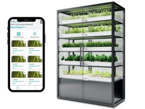 Startup de hidroponía recaudó $ 3 millones de capital semilla para expandirse en EE.UU.