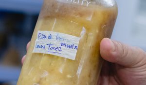 Desarrollan desinfectante a partir de residuos de banano