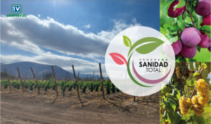Garantizando la sanidad de los frutales