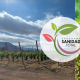Garantizando la sanidad de los frutales