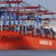 Las exportaciones de hortalizas cerraron el primer semestre con una baja de 2,9% en valor