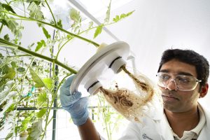 Bayer abre convocatoria para startups de Latam con soluciones de sustentabilidad