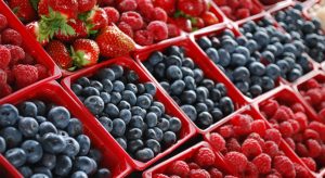 Anuncian fecha para el Global Berry Congress 2020