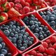 Anuncian fecha para el Global Berry Congress 2020