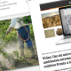 Redagrícola presenta ‘Biologicals Latam’, su nueva iniciativa especializada en la industria de bioinsumos