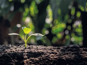 “Muchas empresas nuevas se frenan a la hora de sacar sus productos al mercado debido a obstáculos normativos”