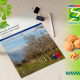 INIA desarrolla manual para el manejo orgánico de nueces