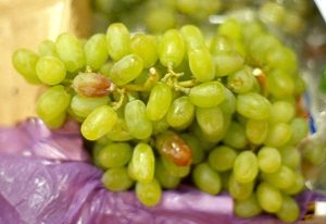 Novedades en la detección y mapeo de botrytis