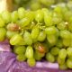 Novedades en la detección y mapeo de botrytis