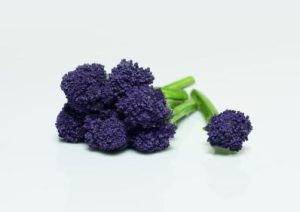 Fruit Attraction: Brócoli con atributos únicos se convierte en el producto más innovador