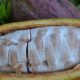Nuevos materiales de cacao: más precoces, productivos y tolerantes a enfermedades