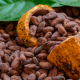 La producción de cacao colombiano llegaría a 126.000 toneladas en 2030