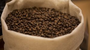 Anuncian nueva variedad de café: Castillo 2.0 será presentada en el segundo semestre