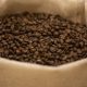 Anuncian nueva variedad de café: Castillo 2.0 será presentada en el segundo semestre