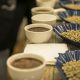 Cafés especiales del Perú obtienen reconocimiento en EE UU