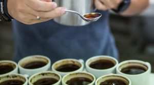 Firma colombiana apuesta a la exportación de café tostado en origen