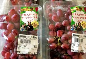 El chileno que ha construido un negocio frutícola en Australia y se ha hecho con un nicho en el mercado asiático