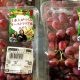 El chileno que ha construido un negocio frutícola en Australia y se ha hecho con un nicho en el mercado asiático
