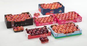 Recambio varietal en manzanas ¿Quién se unirá al club?